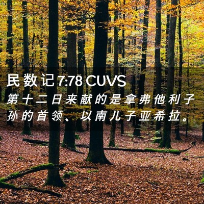 Picture 02 - 民 数 记 7:78 CUVS - 第 十 二 日 来 献 的 是 拿 弗 他 利 - Bible Verse Picture