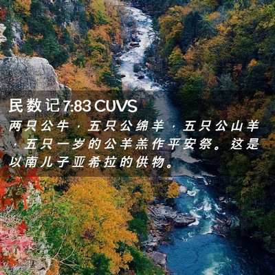 Picture 02 - 民 数 记 7:83 CUVS - 两 只 公 牛 ， 五 只 公 绵 羊 ， 五 - Bible Verse Picture