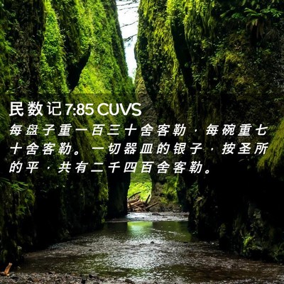 Picture 02 - 民 数 记 7:85 CUVS - 每 盘 子 重 一 百 三 十 舍 客 勒 ， - Bible Verse Picture
