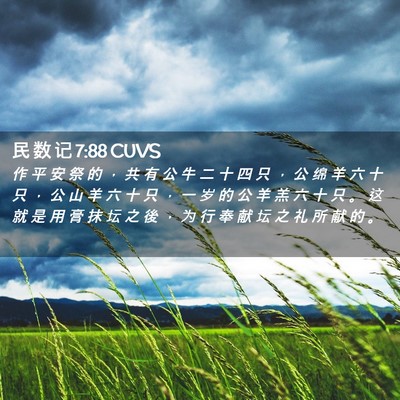 Picture 02 - 民 数 记 7:88 CUVS - 作 平 安 祭 的 ， 共 有 公 牛 二 十 - Bible Verse Picture