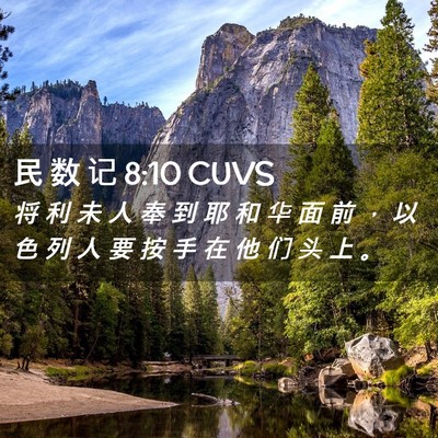 Picture 02 - 民 数 记 8:10 CUVS - 将 利 未 人 奉 到 耶 和 华 面 前 ， - Bible Verse Picture