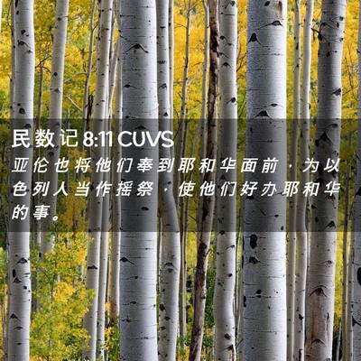 Picture 02 - 民 数 记 8:11 CUVS - 亚 伦 也 将 他 们 奉 到 耶 和 华 面 - Bible Verse Picture