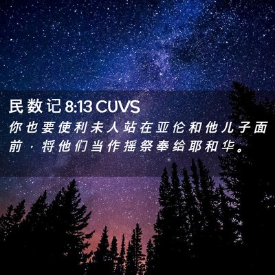 Picture 02 - 民 数 记 8:13 CUVS - 你 也 要 使 利 未 人 站 在 亚 伦 和 - Bible Verse Picture
