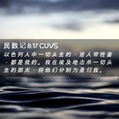 Picture 02 - 民 数 记 8:17 CUVS - 以 色 列 人 中 一 切 头 生 的 ， 连 - Bible Verse Picture