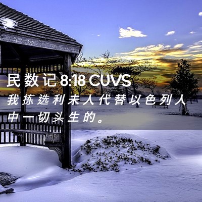Picture 02 - 民 数 记 8:18 CUVS - 我 拣 选 利 未 人 代 替 以 色 列 人 - Bible Verse Picture