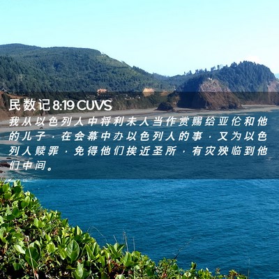 Picture 02 - 民 数 记 8:19 CUVS - 我 从 以 色 列 人 中 将 利 未 人 当 - Bible Verse Picture