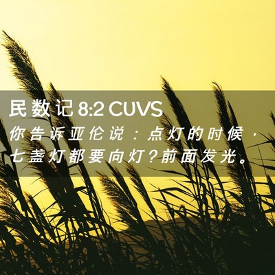 Picture 02 - 民 数 记 8:2 CUVS - 你 告 诉 亚 伦 说 ： 点 灯 的 时 候 - Bible Verse Picture