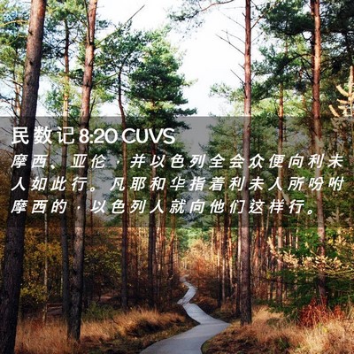 Picture 02 - 民 数 记 8:20 CUVS - 摩 西 、 亚 伦 ， 并 以 色 列 全 会 - Bible Verse Picture