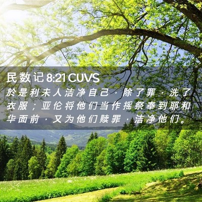 Picture 02 - 民 数 记 8:21 CUVS - 於 是 利 未 人 洁 净 自 己 ， 除 了 - Bible Verse Picture