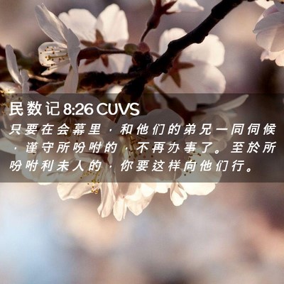 Picture 02 - 民 数 记 8:26 CUVS - 只 要 在 会 幕 里 ， 和 他 们 的 弟 - Bible Verse Picture