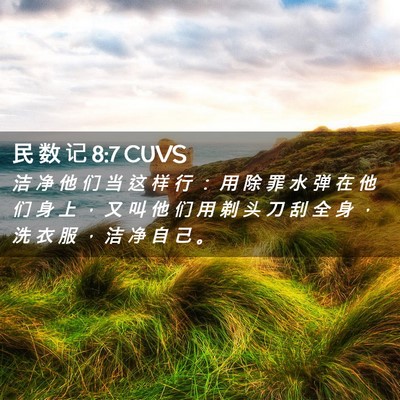 Picture 02 - 民 数 记 8:7 CUVS - 洁 净 他 们 当 这 样 行 ： 用 除 罪 - Bible Verse Picture