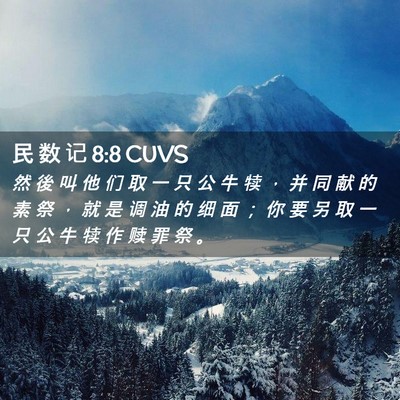 Picture 02 - 民 数 记 8:8 CUVS - 然 後 叫 他 们 取 一 只 公 牛 犊 ， - Bible Verse Picture