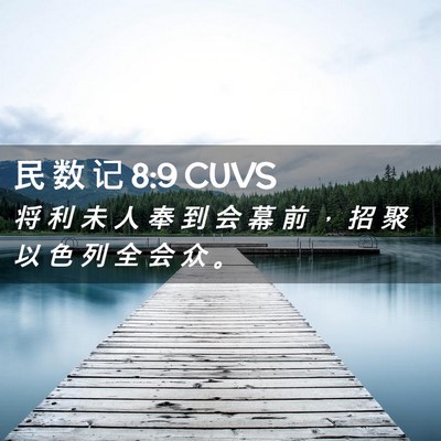 Picture 02 - 民 数 记 8:9 CUVS - 将 利 未 人 奉 到 会 幕 前 ， 招 聚 - Bible Verse Picture
