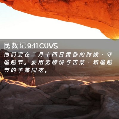 Picture 02 - 民 数 记 9:11 CUVS - 他 们 要 在 二 月 十 四 日 黄 昏 的 - Bible Verse Picture