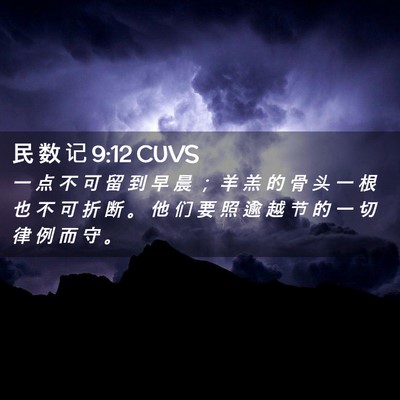 Picture 02 - 民 数 记 9:12 CUVS - 一 点 不 可 留 到 早 晨 ； 羊 羔 的 - Bible Verse Picture