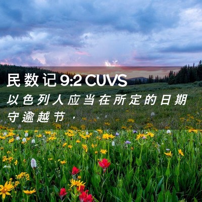 Picture 02 - 民 数 记 9:2 CUVS - 以 色 列 人 应 当 在 所 定 的 日 期 - Bible Verse Picture
