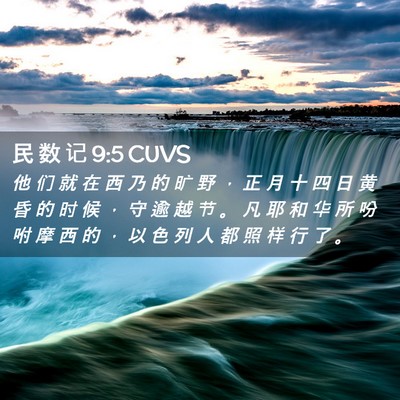 Picture 02 - 民 数 记 9:5 CUVS - 他 们 就 在 西 乃 的 旷 野 ， 正 月 - Bible Verse Picture