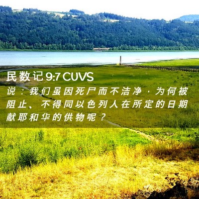 Picture 02 - 民 数 记 9:7 CUVS - 说 ： 我 们 虽 因 死 尸 而 不 洁 净 - Bible Verse Picture