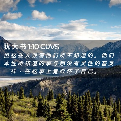 Picture 02 - 犹 大 书 1:10 CUVS - 但 这 些 人 毁 谤 他 们 所 不 知 道 - Bible Verse Picture