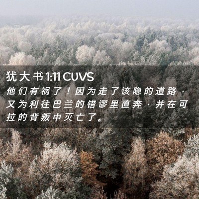 Picture 02 - 犹 大 书 1:11 CUVS - 他 们 有 祸 了 ！ 因 为 走 了 该 隐 - Bible Verse Picture