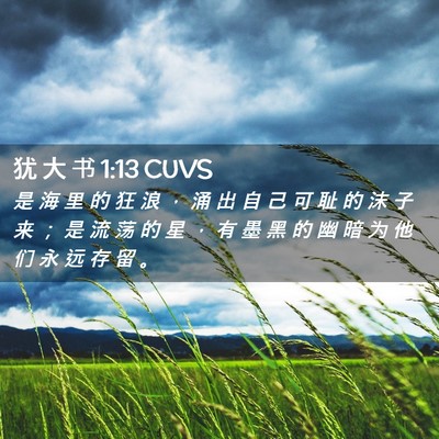 Picture 02 - 犹 大 书 1:13 CUVS - 是 海 里 的 狂 浪 ， 涌 出 自 己 可 - Bible Verse Picture
