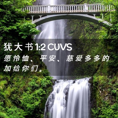 Picture 02 - 犹 大 书 1:2 CUVS - 愿 怜 恤 、 平 安 、 慈 爱 多 多 的 - Bible Verse Picture