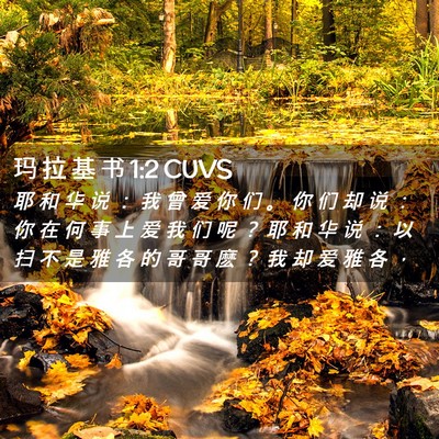 Picture 02 - 玛 拉 基 书 1:2 CUVS - 耶 和 华 说 ： 我 曾 爱 你 们 。 你 - Bible Verse Picture