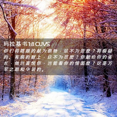 Picture 02 - 玛 拉 基 书 1:8 CUVS - 你 们 将 瞎 眼 的 献 为 祭 物 ， 这 - Bible Verse Picture