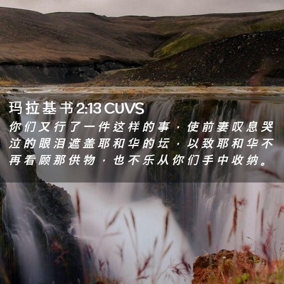 Picture 02 - 玛 拉 基 书 2:13 CUVS - 你 们 又 行 了 一 件 这 样 的 事 ， - Bible Verse Picture