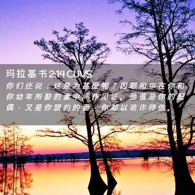 Picture 02 - 玛 拉 基 书 2:14 CUVS - 你 们 还 说 ： 这 是 为 甚 麽 呢 ？ - Bible Verse Picture