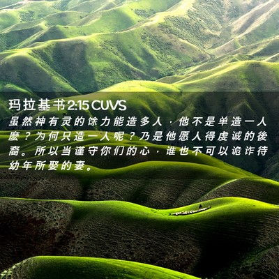 Picture 02 - 玛 拉 基 书 2:15 CUVS - 虽 然 神 有 灵 的 馀 力 能 造 多 人 - Bible Verse Picture
