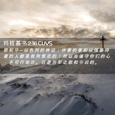 Picture 02 - 玛 拉 基 书 2:16 CUVS - 耶 和 华 ─ 以 色 列 的 神 说 ： 休 - Bible Verse Picture