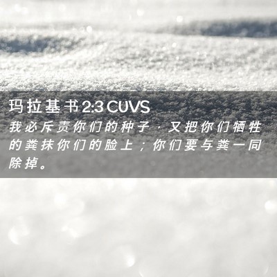 Picture 02 - 玛 拉 基 书 2:3 CUVS - 我 必 斥 责 你 们 的 种 子 ， 又 把 - Bible Verse Picture