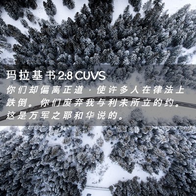 Picture 02 - 玛 拉 基 书 2:8 CUVS - 你 们 却 偏 离 正 道 ， 使 许 多 人 - Bible Verse Picture