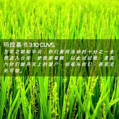 Picture 02 - 玛 拉 基 书 3:10 CUVS - 万 军 之 耶 和 华 说 ： 你 们 要 将 - Bible Verse Picture