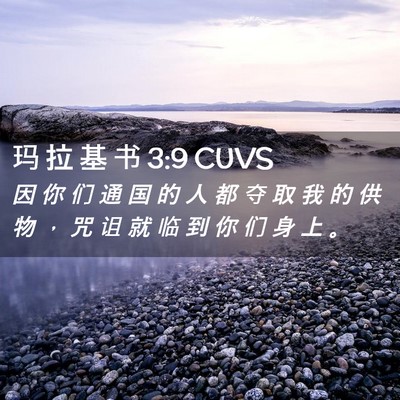 Picture 02 - 玛 拉 基 书 3:9 CUVS - 因 你 们 通 国 的 人 都 夺 取 我 的 - Bible Verse Picture