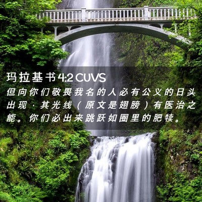 Picture 02 - 玛 拉 基 书 4:2 CUVS - 但 向 你 们 敬 畏 我 名 的 人 必 有 - Bible Verse Picture