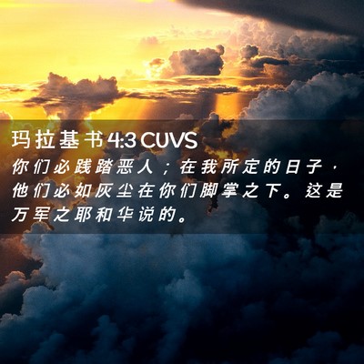 Picture 02 - 玛 拉 基 书 4:3 CUVS - 你 们 必 践 踏 恶 人 ； 在 我 所 定 - Bible Verse Picture
