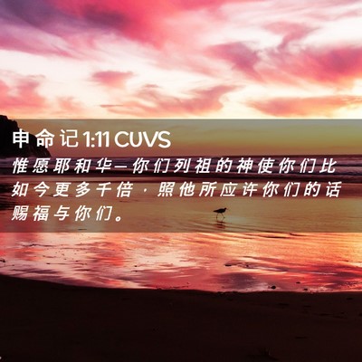 Picture 02 - 申 命 记 1:11 CUVS - 惟 愿 耶 和 华 ─ 你 们 列 祖 的 神 - Bible Verse Picture