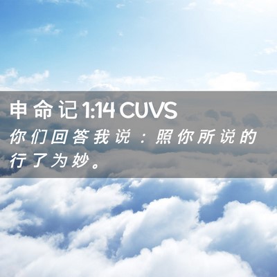 Picture 02 - 申 命 记 1:14 CUVS - 你 们 回 答 我 说 ： 照 你 所 说 的 - Bible Verse Picture