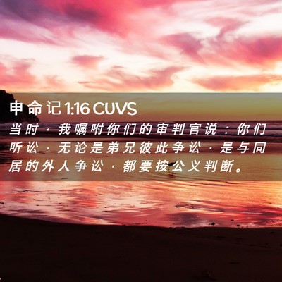 Picture 02 - 申 命 记 1:16 CUVS - 当 时 ， 我 嘱 咐 你 们 的 审 判 官 - Bible Verse Picture