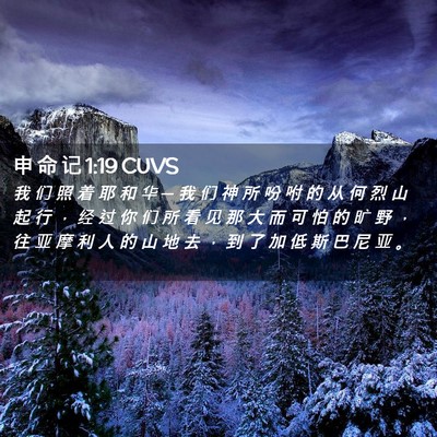 Picture 02 - 申 命 记 1:19 CUVS - 我 们 照 着 耶 和 华 ─ 我 们 神 所 - Bible Verse Picture