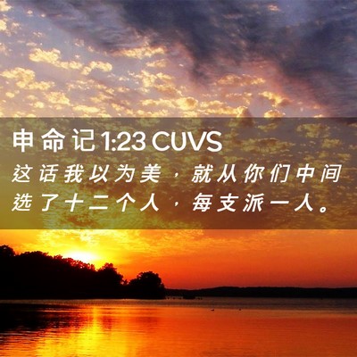 Picture 02 - 申 命 记 1:23 CUVS - 这 话 我 以 为 美 ， 就 从 你 们 中 - Bible Verse Picture