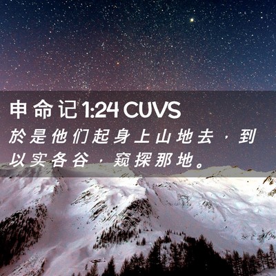 Picture 02 - 申 命 记 1:24 CUVS - 於 是 他 们 起 身 上 山 地 去 ， 到 - Bible Verse Picture