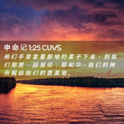 Picture 02 - 申 命 记 1:25 CUVS - 他 们 手 里 拿 着 那 地 的 果 子 下 - Bible Verse Picture