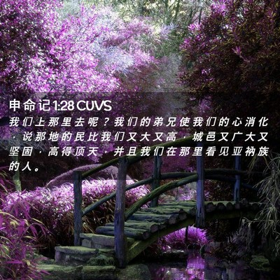 Picture 02 - 申 命 记 1:28 CUVS - 我 们 上 那 里 去 呢 ？ 我 们 的 弟 - Bible Verse Picture