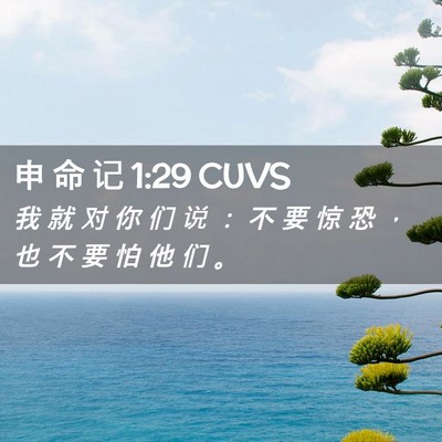 Picture 02 - 申 命 记 1:29 CUVS - 我 就 对 你 们 说 ： 不 要 惊 恐 ， - Bible Verse Picture