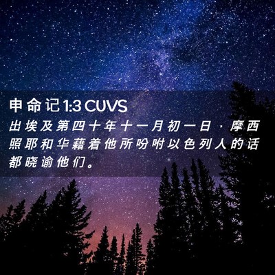 Picture 02 - 申 命 记 1:3 CUVS - 出 埃 及 第 四 十 年 十 一 月 初 一 - Bible Verse Picture