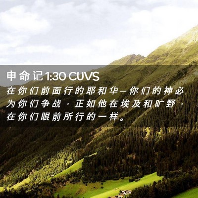 Picture 02 - 申 命 记 1:30 CUVS - 在 你 们 前 面 行 的 耶 和 华 ─ 你 - Bible Verse Picture