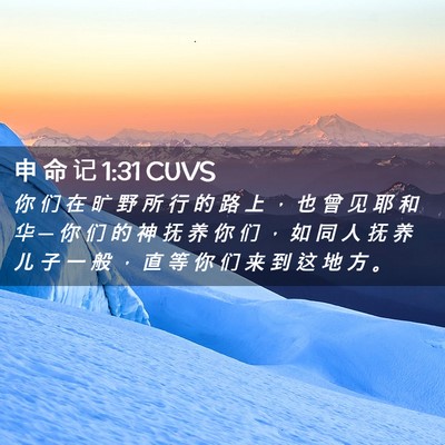 Picture 02 - 申 命 记 1:31 CUVS - 你 们 在 旷 野 所 行 的 路 上 ， 也 - Bible Verse Picture